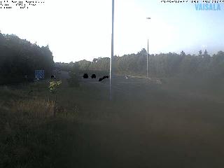 Sun 12 Jul 18:47